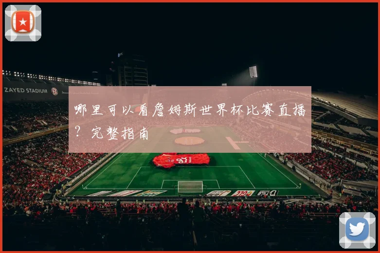 哪里可以看詹姆斯世界杯比赛直播？完整指南